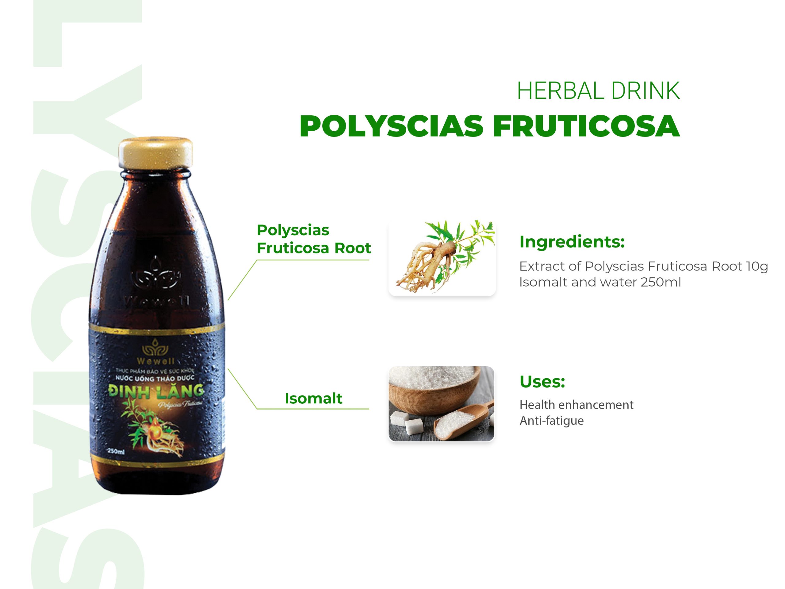 Health Supplement Polyscias Fruticosa Herbal Beverage